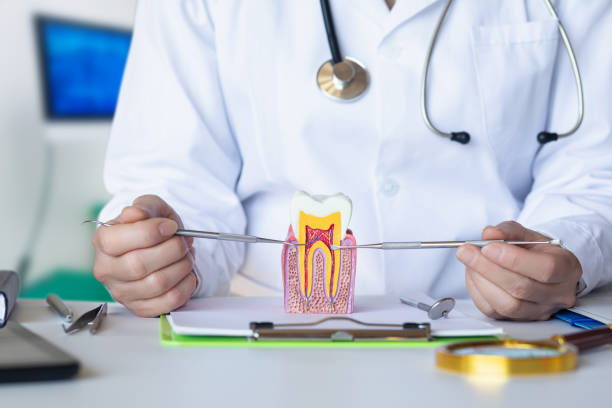 Best Emergency Root Canal Treatment in Dover, OH